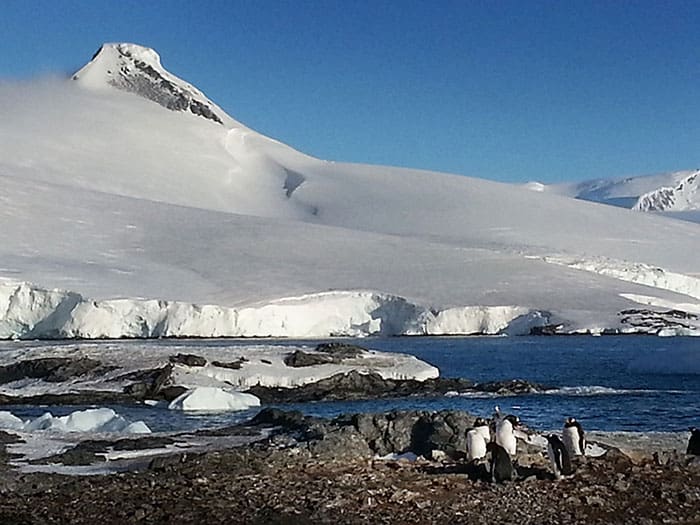 Nos groupes, en Antarctide 1 antartida-2